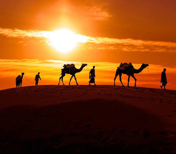 Rajasthan Desert Safari