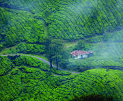 Goa & Kerala